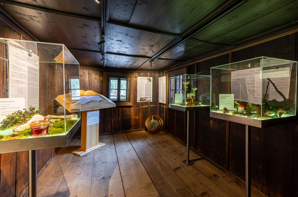 © Harald Steiner Ein Ausstellungsraum mit Vitrinen